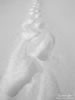 dec08-hdig-084
