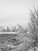 feb07-hdig-087