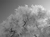 jan07-hdig-074