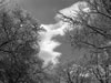 mar06-hdig-111