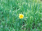 may-049-03
