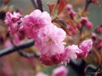 may-049-09