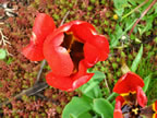 may-dig-023