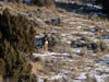 nov-hdig-126