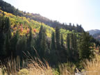 oct-hdig-042
