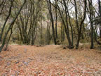 oct-hdig-058