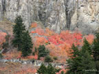 oct-hdig-073