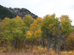 oct-hdig-084