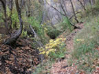 oct-hdig-137