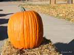 oct-hdig-250