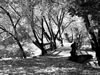 oct06-hdig-095