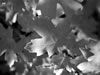 sept06-hdig-266